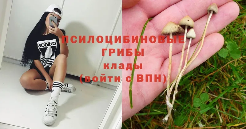 Галлюциногенные грибы Magic Shrooms Ковылкино